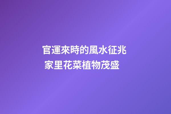 官運來時的風水征兆  家里花菜植物茂盛